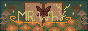 elwind cervus