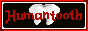 human tooth