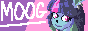 snow moog