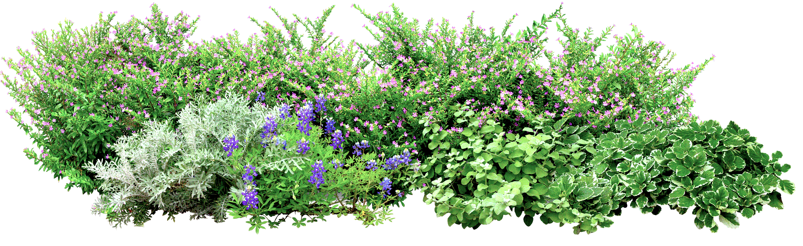 flowery_grass_2
