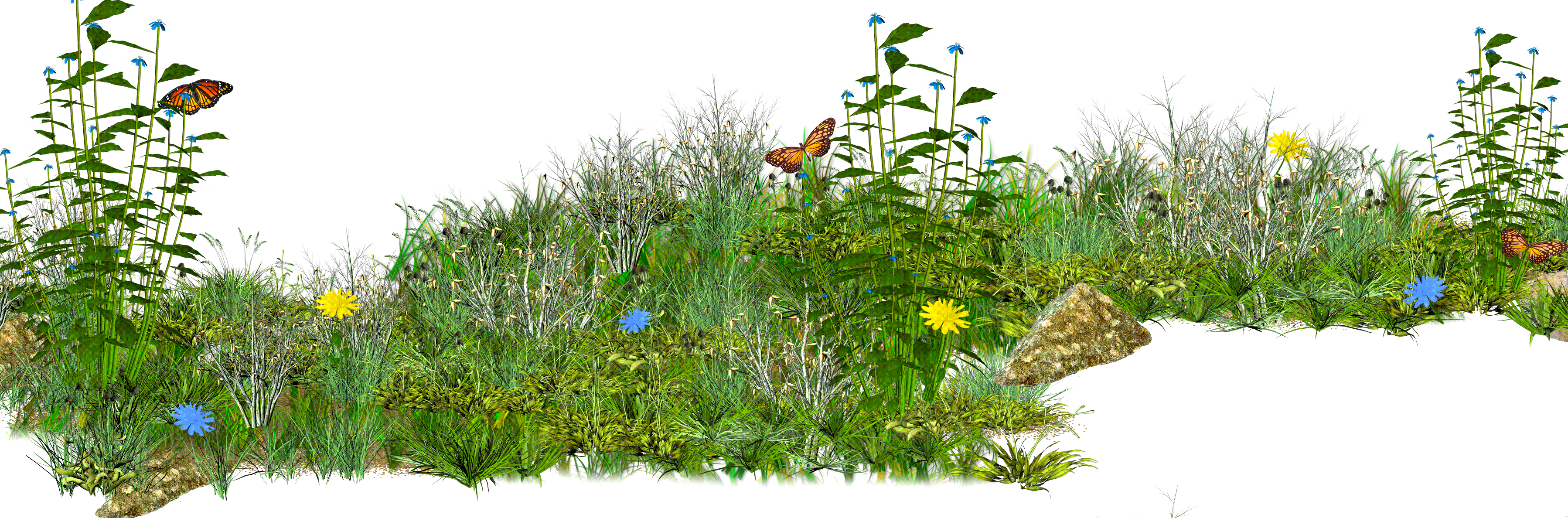 flowery_grass_1