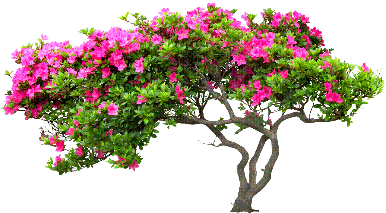 flowery_tree_1